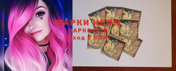 ПСИЛОЦИБИНОВЫЕ ГРИБЫ Михайлов