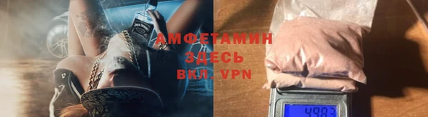 ПСИЛОЦИБИНОВЫЕ ГРИБЫ Михайлов