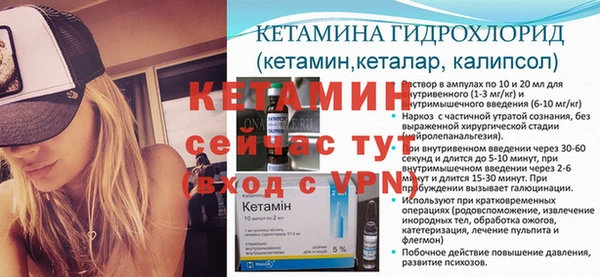 сатива Михайловск