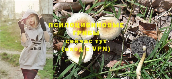 МДПВ Медвежьегорск